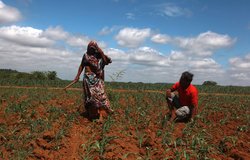 कृषि बिल के खिलाफ दिल्ली में कांग्रेस कार्यकर्ता का प्रदर्शन