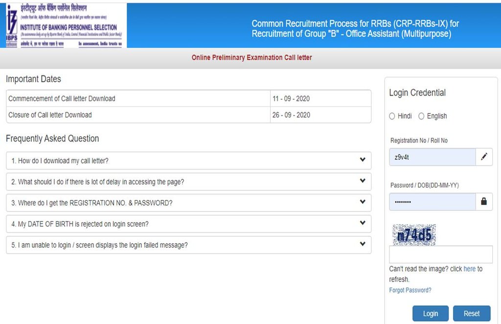 ibps rrb, ibps rrb admit card, ibps rrb admit card 2020