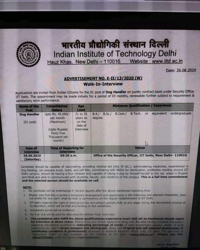 IIT Delhi messes up the advertisement for a dog handler job, takes ad down after it goes viral
