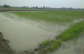 water conservation, save water