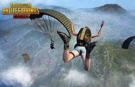 PUBG, Twitter, Social Media,