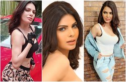 ‘स्टार क्रिकेटर्स की बीवियां भी लेती हैं ड्रग्स, IPL में मैच के बाद हुआ कोकीन का इस्तेमाल,’ कामसूत्र 3D की हीरोइन शर्लिन चोपड़ा का दावा