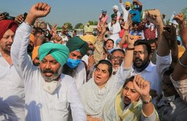 agriculture bill