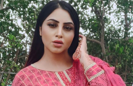 SSR Case, Arnab Goswami, Arshi Khan, Panelist, Drugs