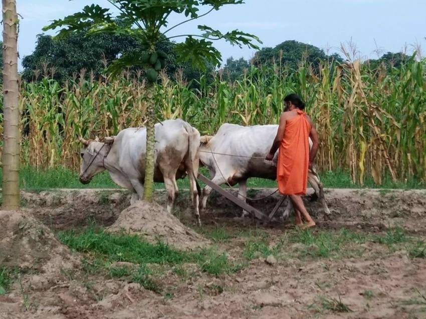 ramdev family, patanjali baba ramdev
