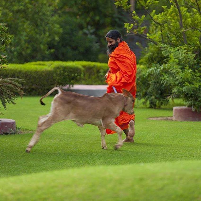 ramdev family, patanjali baba ramdev