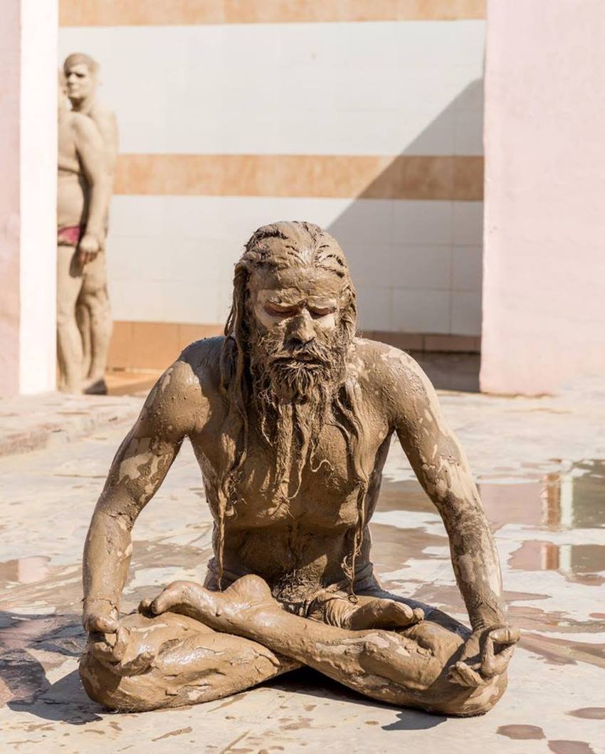 ramdev family, patanjali baba ramdev