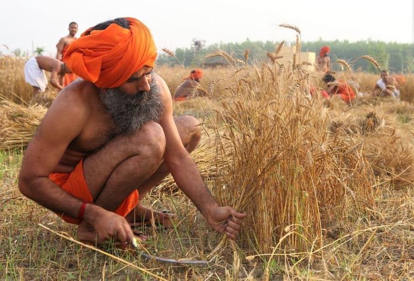 ramdev family, patanjali baba ramdev