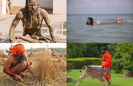 ramdev family, patanjali baba ramdev