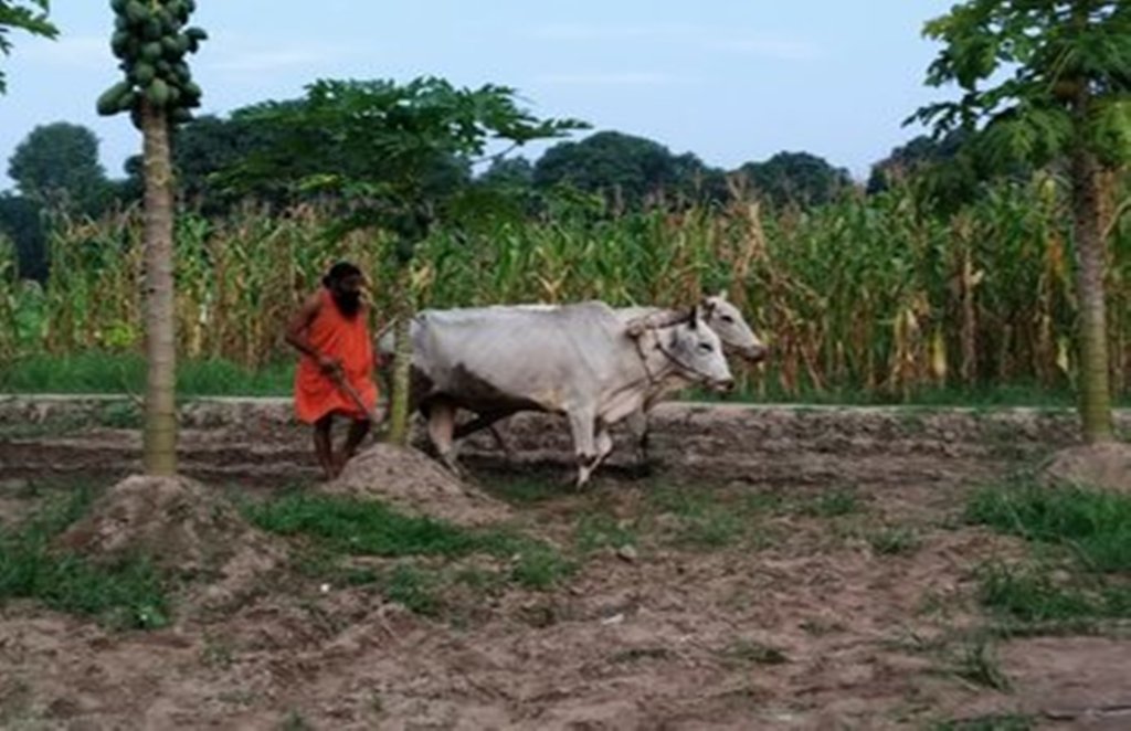 Baba Ramdev, Baba Ramdev in fields, Baba Ramdev Yoga, Baba Ramdev Fitness
