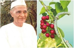 एक वैद्य ने खड़ी की सैकड़ों करोड़ की बैद्यनाथ आयुर्वेद कंपनी, कोरोना काल में बढ़ी गिलोय, च्यवनप्राश जैसे उत्पादों की मांग