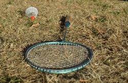 यूपी में बैडमिंटन खिलाड़ी से छेड़छाड़, आरोपियों ने थाने में दी जिंदगी बर्बाद करने की धमकी; दरोगा पर डराकर राजीनामा कराने का आरोप