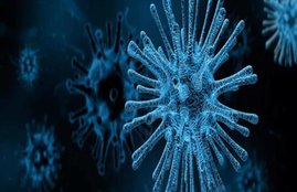 china, coronavirus