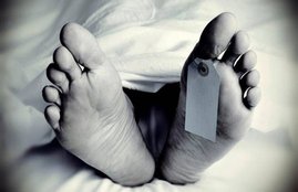 Unemployment, COVID, pandemic