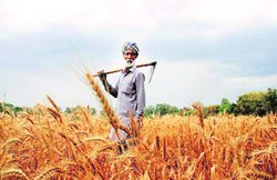 कांग्रेस कथा 2: रुकावट के लिए ‘खेत’ है