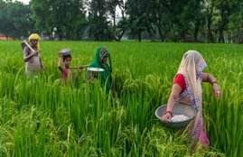 Punjab, Farm Bills, BJP Govt