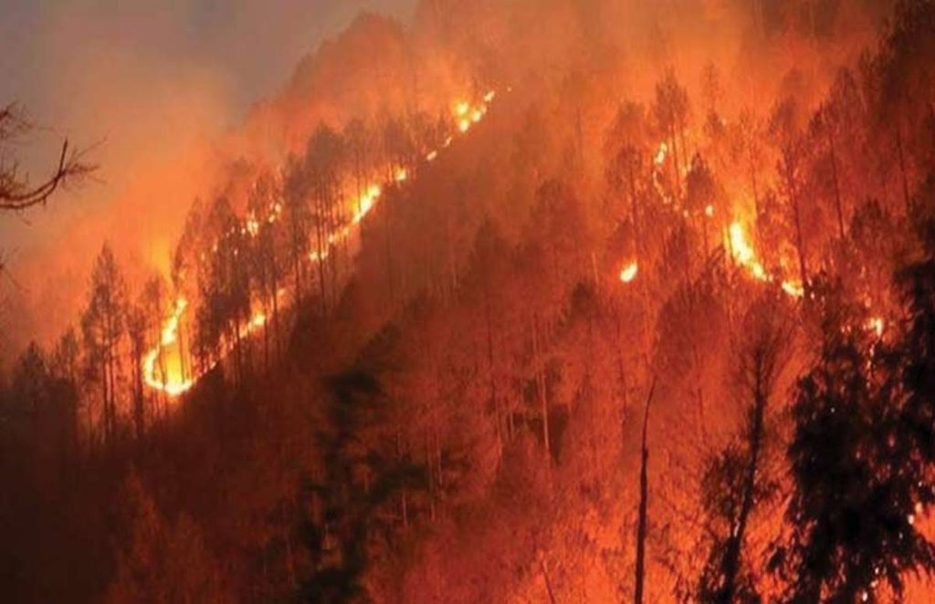 धू-धू कर जल रहे जंगल पर्यावरण के लिए घातक हैं।