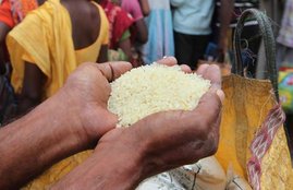 free ration