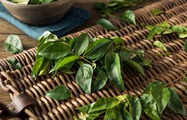 diabetes, early signs of diabetes, main cause of diabetes, diabetes diet, diabetes food