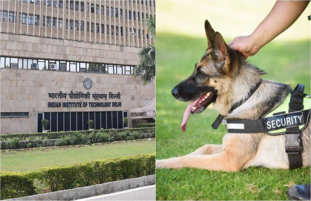 IIT DELHI, DOG, CRIME, DELHI