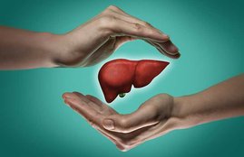 Food For Healthy Liver,Diet For Healthy Liver,Herbs For Healthy Liver
