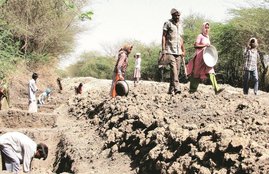 mgnrega, coronavirus, nrega cards
