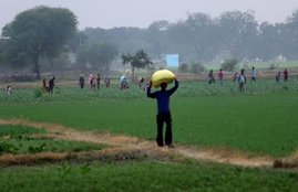 msp Agriculture bill narendra modi government