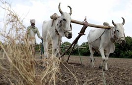 msp minimum support price agriculture bill