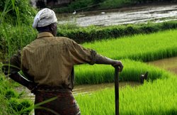 घोटाले के बाद पीएम किसान सम्मान निधि स्कीम पर सख्ती, ऐसे लोगों को खेती की जमीन होने पर भी नहीं मिलता फायदा