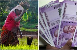 pm kisan samman nidhi