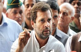 Rahul Gandhi, Congress, Parliamentary Committee
