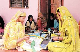 NPAs, Banking System, Self Help Groups