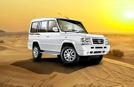 tata sumo