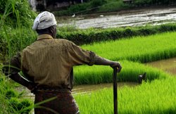 अपनी जमीन का पूरा रिकॉर्ड यूं निकाल सकते हैं ऑनलाइन, तहसील के चक्कर लगाने की नहीं कोई जरूरत