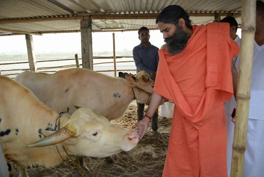 ramdev age, ramdev family