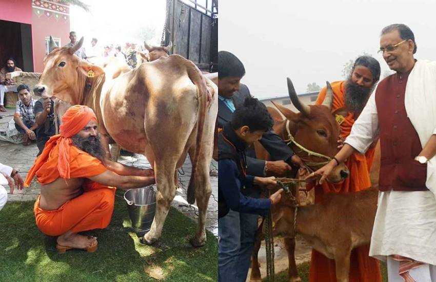 ramdev age, ramdev family