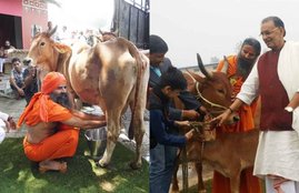 ramdev age, ramdev family