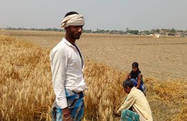 Bihar agriculture, bihar chunav, pm modi