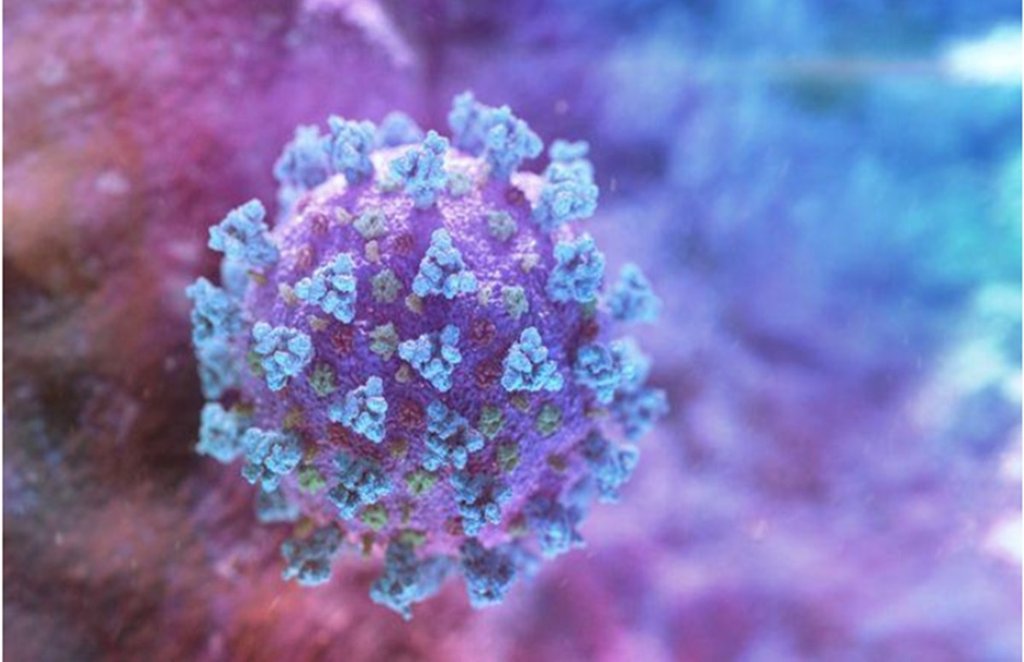 Coronavirus, Covid-19, Coronavirus Research, Coronavirus after effects, Coronavirus Symptoms