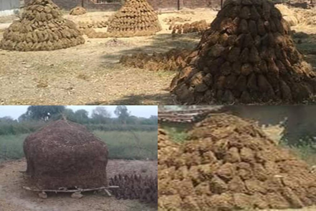 यूपी के बांदा जिले के जखनी गांव में पाथकर रखा हुआ गोबर और उससे बना उपड़ौर।