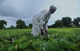 Bihar Elections 2020, Bihar Elections, Leaders, Farmers, Election Agenda
