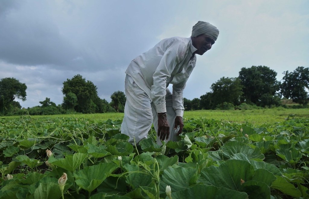 Bihar Elections 2020, Bihar Elections, Leaders, Farmers, Election Agenda
