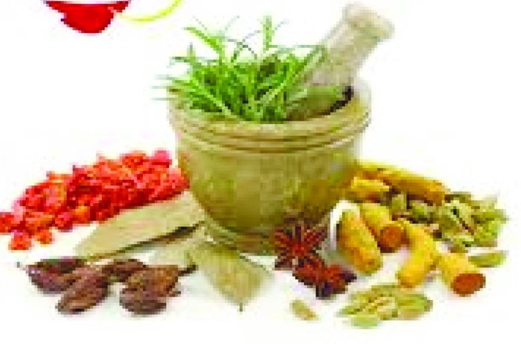 नवरात्र के नौ दिनों में देवी अपने विभिन्न स्वरूपों से भक्तों को स्वस्थ और लंबी आयु का वरदान देती हैं। 