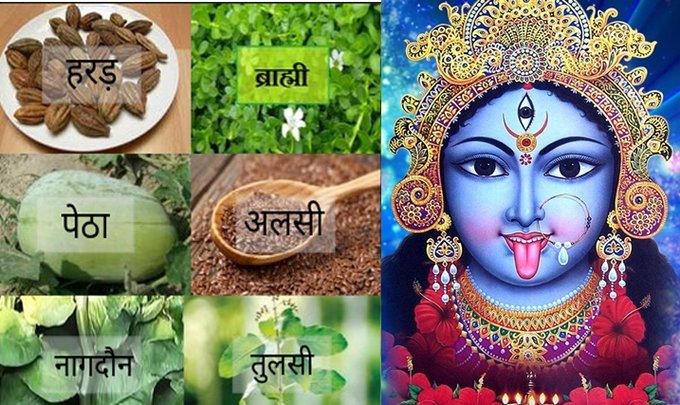 नवदुर्गा का अंश मानी जाती हैं ये वनस्पतियां, जानें- किस औषधि में किस देवी के वास की है मान्यता