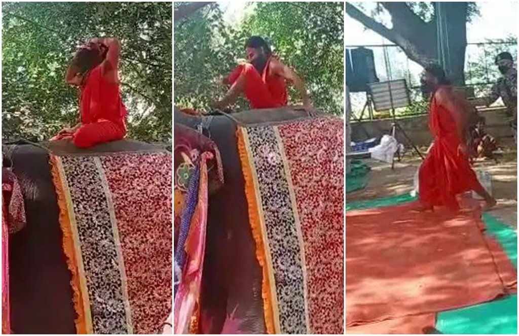 baba RAMDEV, SLIPPED, ELEPHANT, YOGA, MATHURA, baba RAMDEV, SLIPPED, ELEPHANT, YOGA, MATHURA,