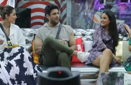 bb14 live, bigg boss 14 contestants names, bigg boss 14 contestants full list,