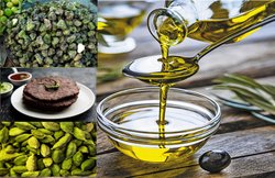 डायबिटीज के मरीज डाइट में शामिल करें ये चीजें, आसानी से कंट्रोल होगा ब्लड शुगर