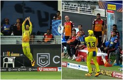 CSK vs SRH: फाफ डुप्लेसी ने बाउंड्री पर पकड़ा शानदार कैच, हैरान रह गए सनराइजर्स हैदराबाद के खिलाड़ी; देखें Video