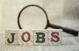govt jobs, sarkari naukri, sarkari results