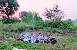 hathras case, hathras crime